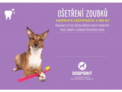 Odčervení a očkování