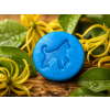 ylang ylang