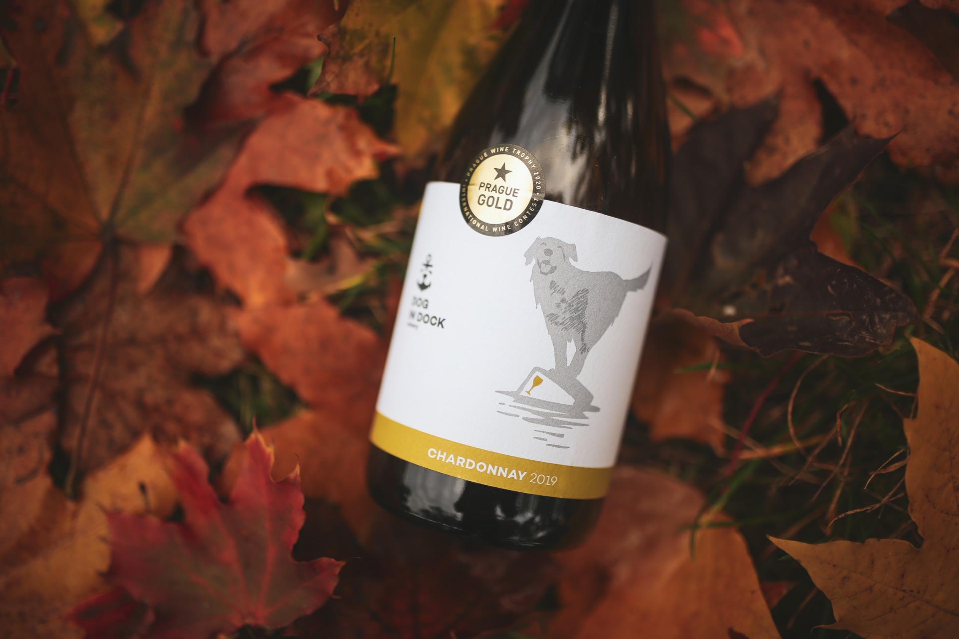Chardonnay: Klenot z Francie se prosazuje i u nás