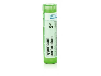 hypericum5
