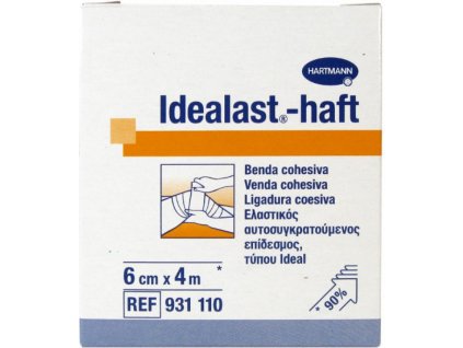 idealast10x4