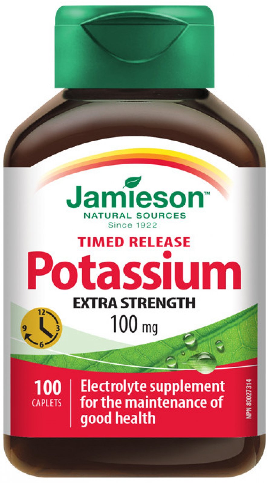 Jamieson Draslík 100 mg s postupným uvol. 100 tablet