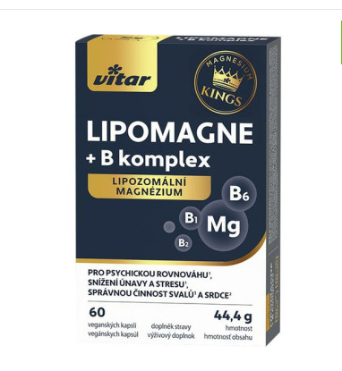 Vitar LIPOMAGNE+B komplex 60 kapslí