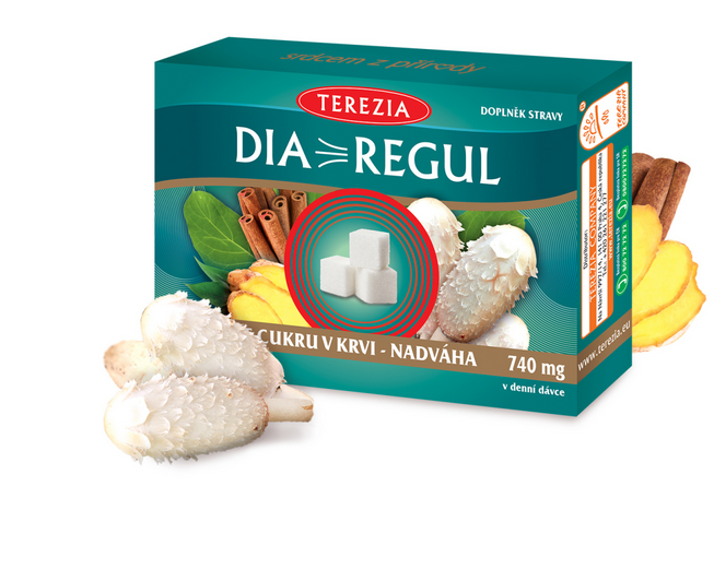 Terezia Company Diaregul kapslí 60