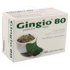 gingio80 60