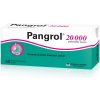 PANGROL 20000IU TBL.ENT.50 II