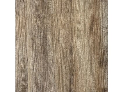 BASIC PLUS Dub Angara