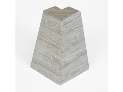 01%20Vnj%20roh%20dub%20Selenga%20