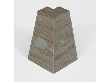 01%20Vnj%20roh%20dub%20Amiens%20