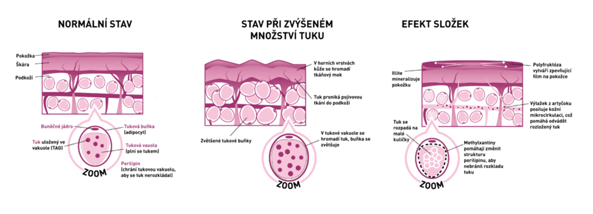 bőr