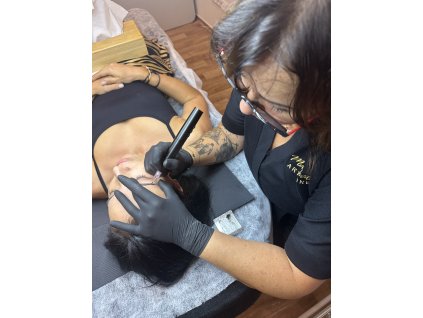 Online course Permanent make-up of powder eyebrows with tattoo pen, scripts and certificate