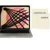 Curso online de kinesiotaping
