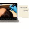 Curso online de mesoterapia capilar