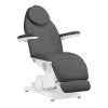 Scaun cosmetic electric Sillon Basic cu 3 motoare, gri