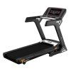 inSPORTline Gardian G6 Cinta de correr