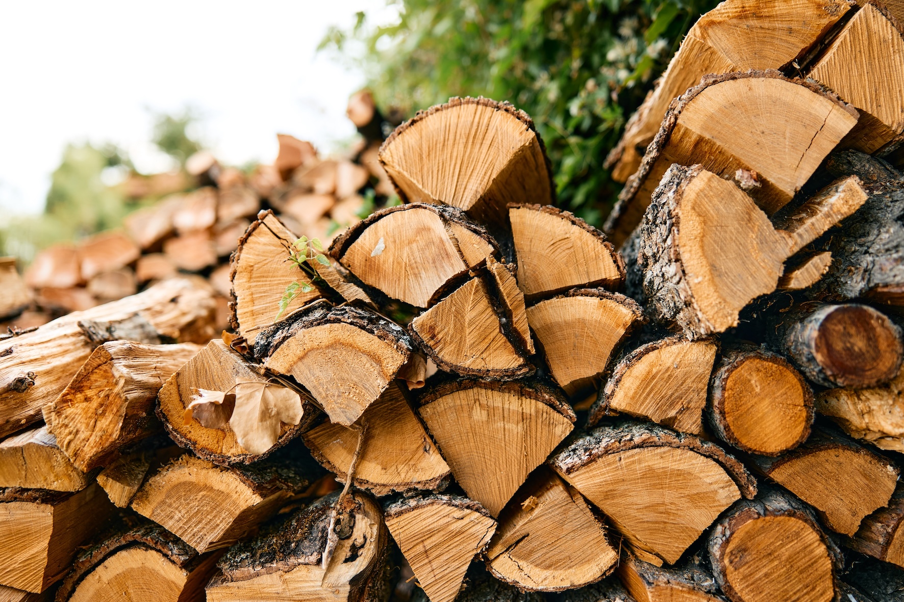 shutterstock_2526004421
