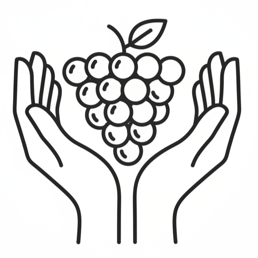 Poctivé víno z rodinného vinařství