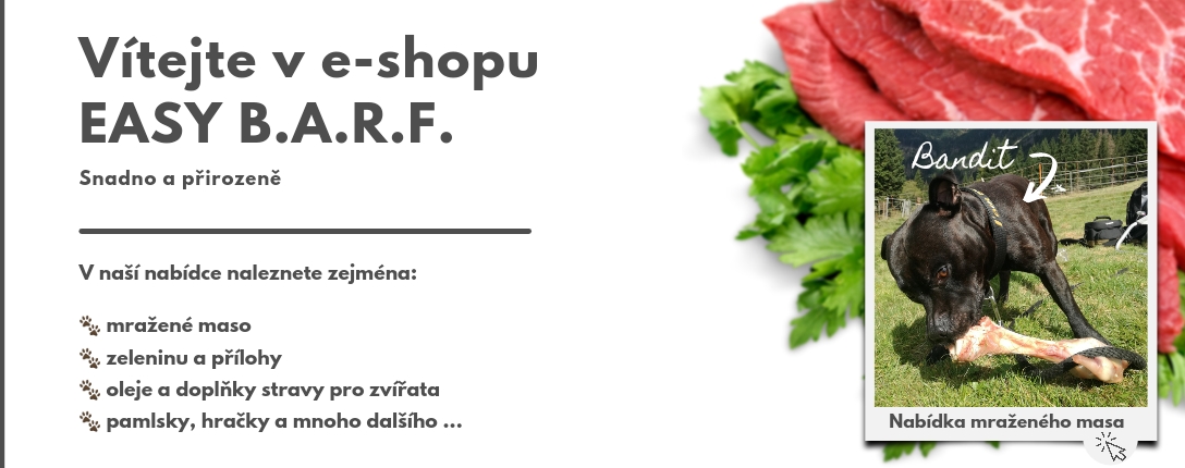 Nabídka mraženého masa