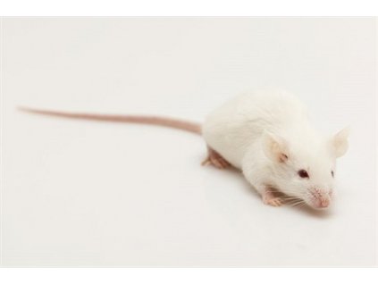 APE3cb7ae shutterstock 69051682