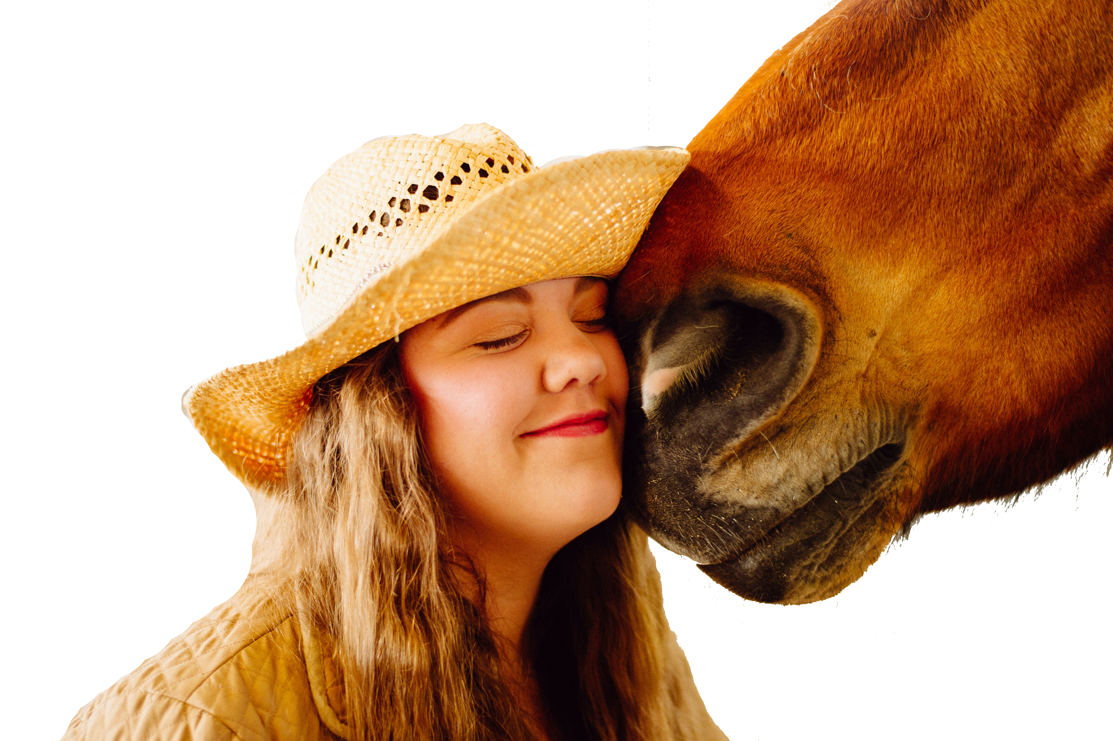 Čistá stáj aneb jak posílit imunitu a kondici vašeho koně