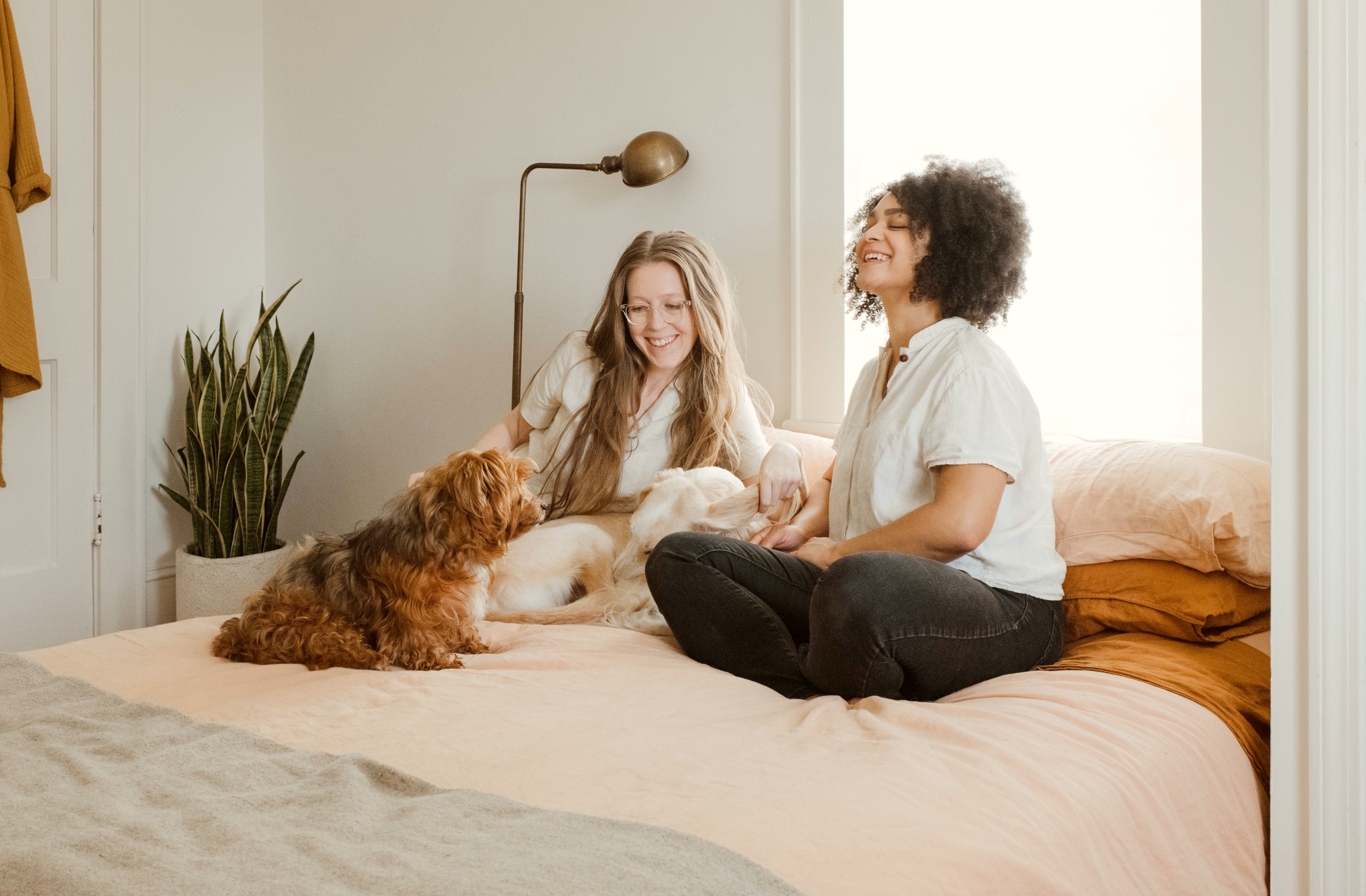 chewy-3cAMUE3YAO8-unsplash(1)