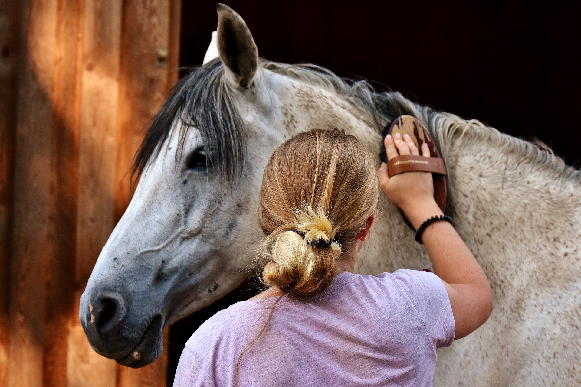 horse-love-g4acb624f8_1920