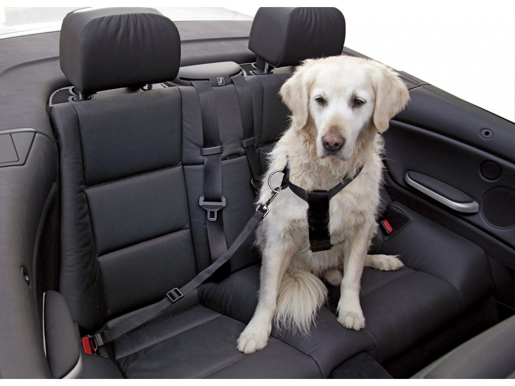 Bezpečnostní postroj pro psy do auta s připínáním, 70 - 90 cm, černý (Velikost 30 - 60 cm)