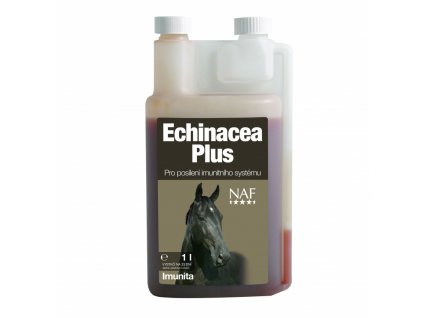 Echinacea podpora imunity koně