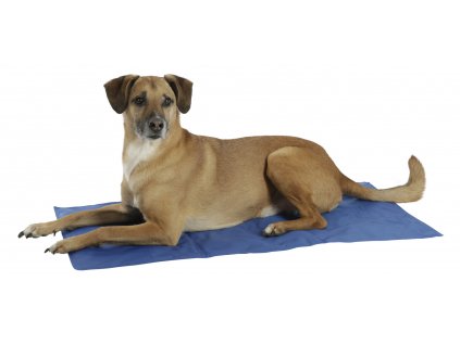 Chladící podložka Cool-Relax pro psy, modrá (Velikost 50 x 40 cm)