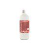ecoliquid antiviral nahradni spicy apple 1000ml