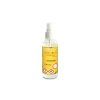 ecoliquid antiviral citron 100ml sprej