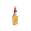 ecoliquid antiviral golden spice 200ml sprej