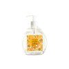 ecoliquid antiviral pomeranc hrebicek davkovac 500ml