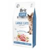 Brit Care Cat GF Large cats Power&Vitality (Balení 7kg)