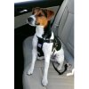 Bezpečnostní postroj pro psy do auta Zolux (Velikost XL)