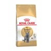 Royal Canin Breed Feline British Shorthair (Balení 10kg)