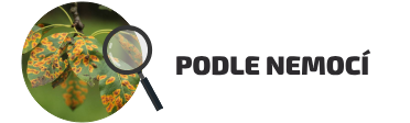 Hledaní podle nemocí