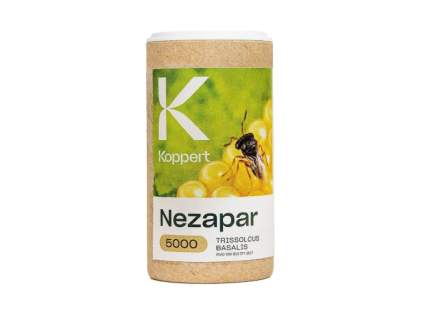 Nezapar Trissolcus basalis