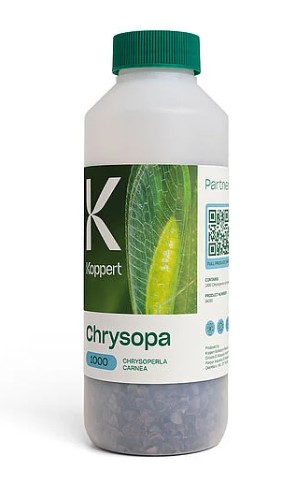 Levně Chrysopa - Zlatoočka obecná (Chrysoperla carnea) mililiter: 1000 ks