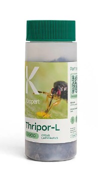 Levně Thripor - dravá ploštice mililiter: 2000 ks