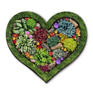 Keď niekoho miluješ, nehnojíš… hocičím 😅💚 Valentín môže byť aj o tom, že sa dohodnete: v záhrade idete viac bio – menej...