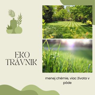 Trávnik nemusí byť dokonalý „anglický koberec“, aby bol pekný. Oveľa dôležitejšie je, aby pôda pod ním žila. 🌱🌿 Namiesto...