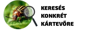 Keresés kártevők alapján