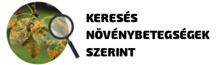 Banner 4