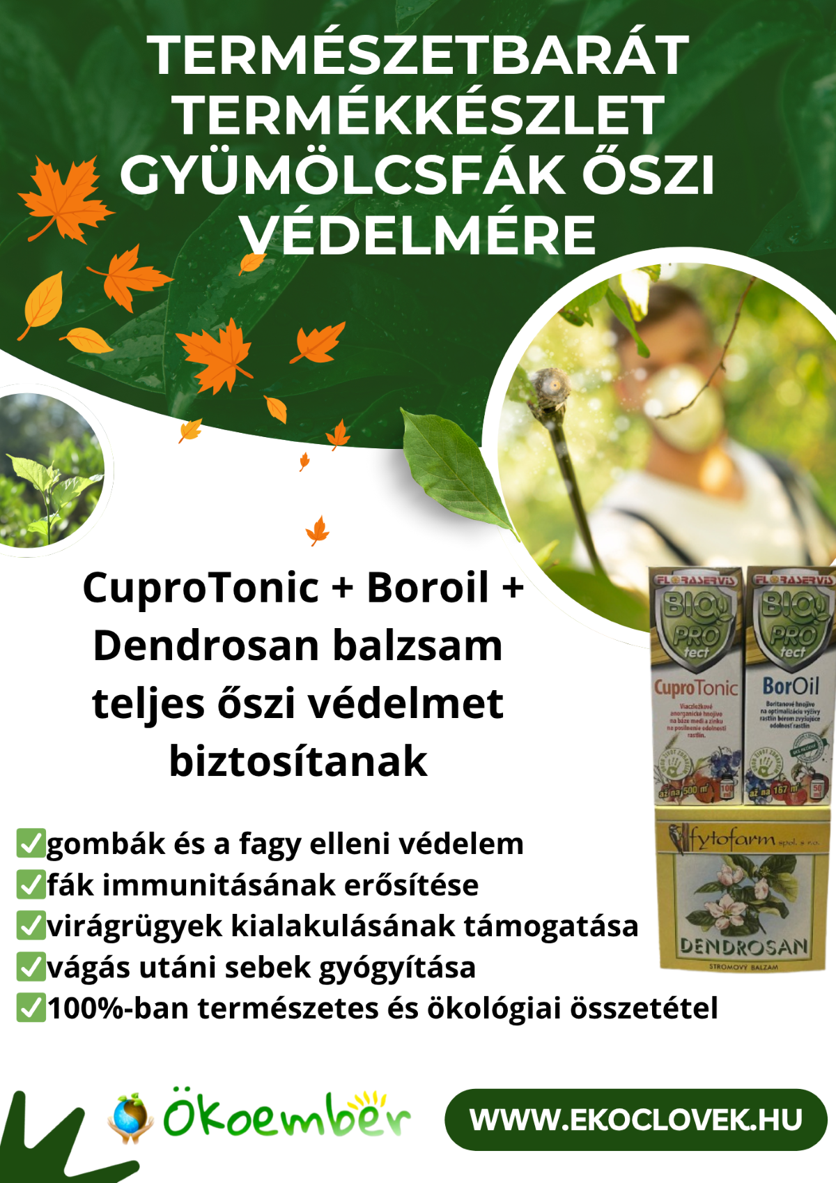 Gyümölcsfák őszi védelme