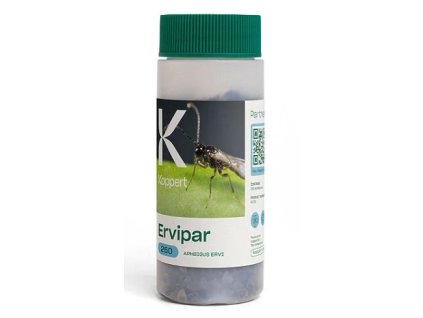 Ervipar