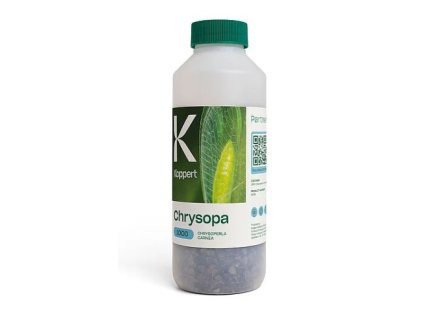 Chrysopa