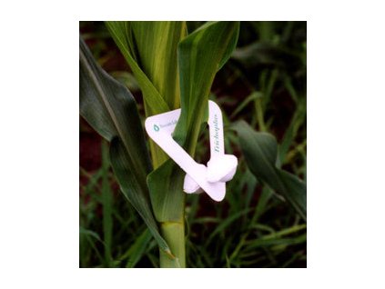 Trichoplus -Trichograma proti huseniciam