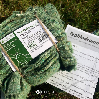 Kedy je správny čas na aplikáciu Typholdromus Pyri