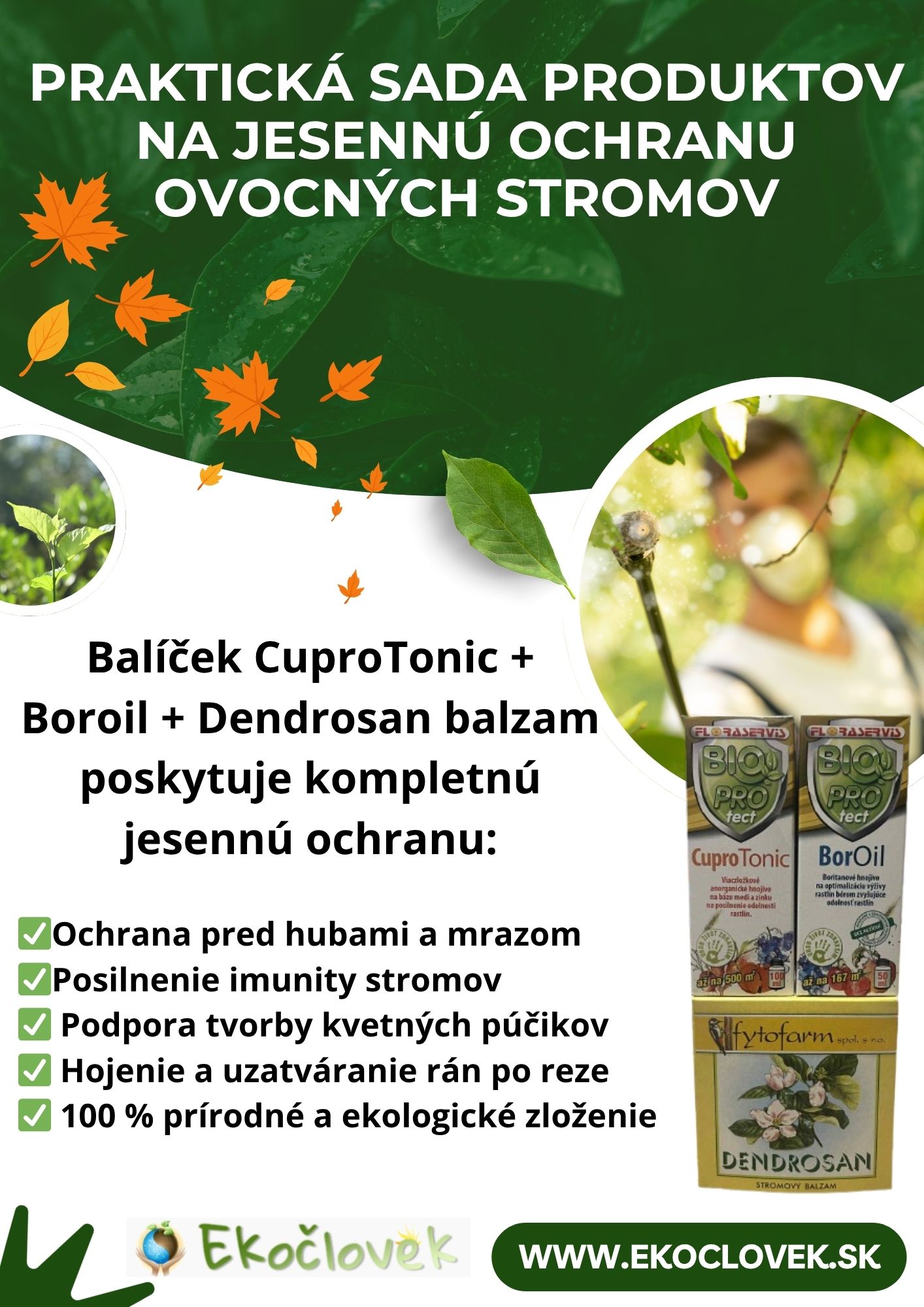 Sada na jesennú ochranu ovocných stromov